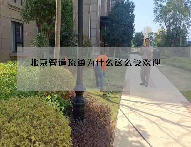 北京管道疏通為什么這么受歡迎