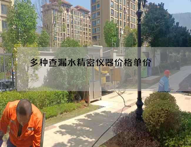 多種查漏水精密儀器價格單價