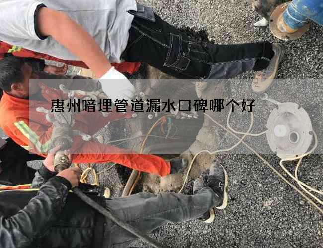 惠州暗埋管道漏水口碑哪個好
