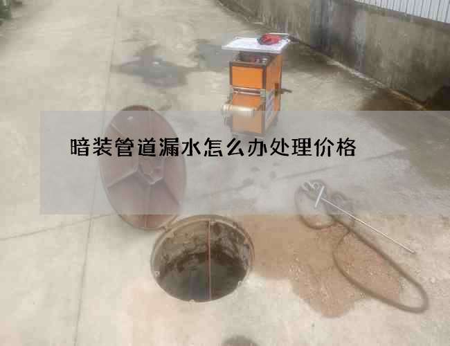 暗裝管道漏水怎么辦處理價格