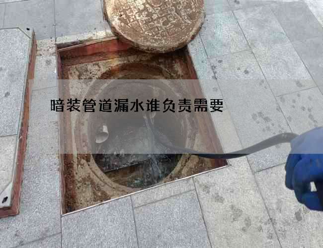 暗裝管道漏水誰負責需要